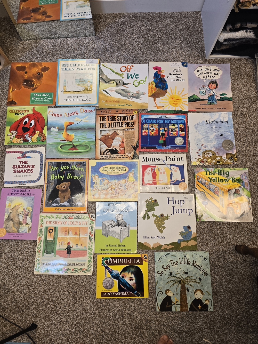 Scholastic Multicolored Children's Picture Book Lot - 21 Books